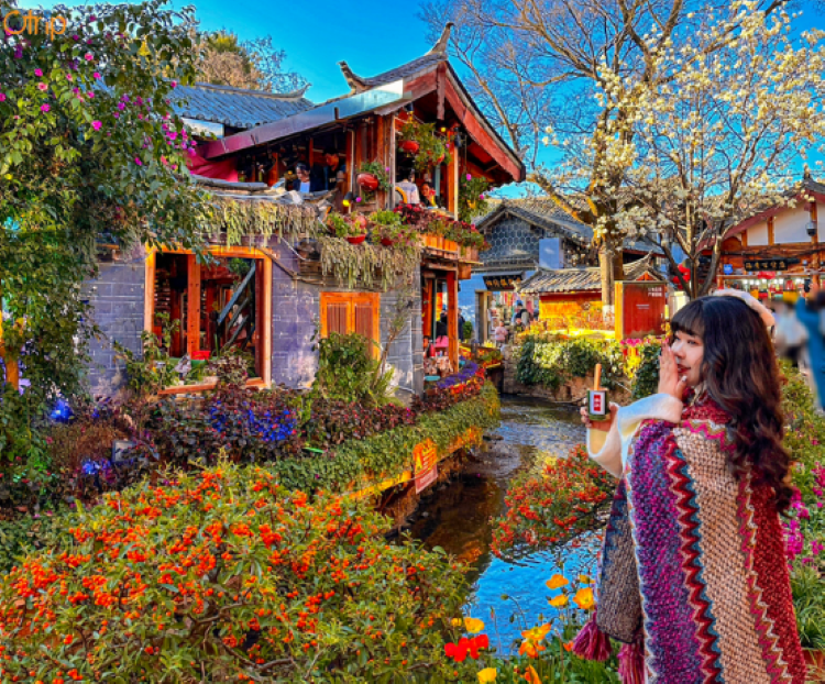 Lệ Giang - Copy_1289_HasThumb.png